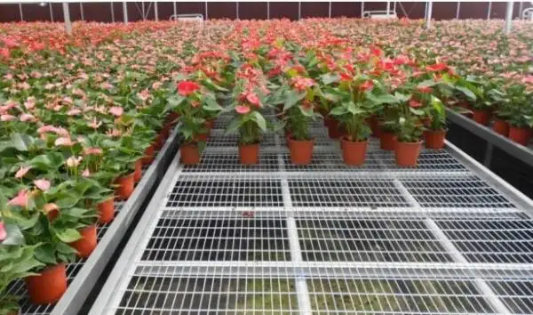 Wire Mesh For Gardening